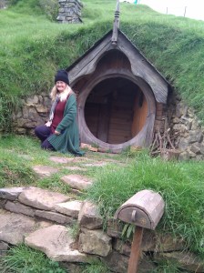 Inside of a Hobbit Hole set