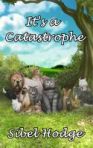 It's A Catastrophe by Sibel Hodge